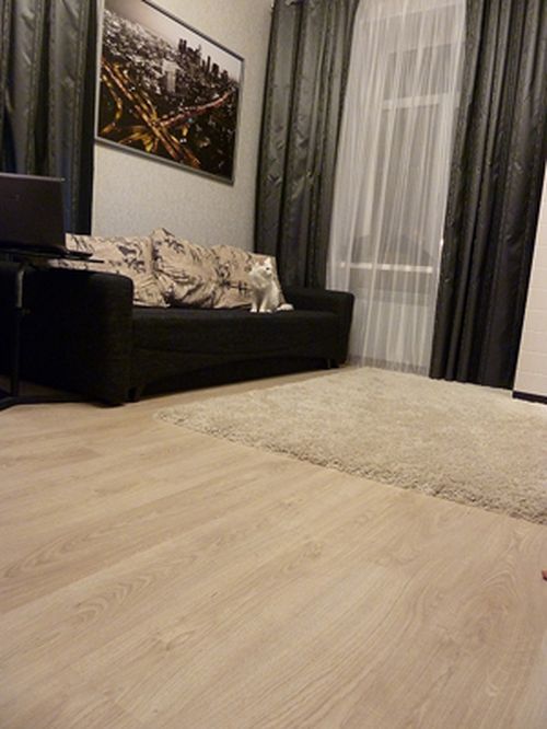 laminat_pod_svetlyj_dub_02