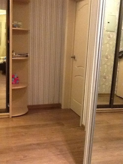 laminata_podojdet_pod_dveri_opredelennogo_cveta_11